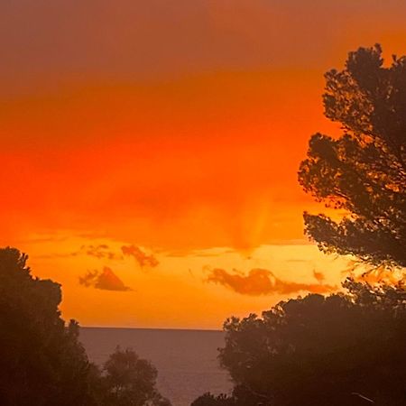 Maison Classee Sur Le Golfe De St Tropez سان تروبيه المظهر الخارجي الصورة