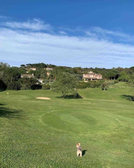 Maison Classee Sur Le Golfe De St Tropez سان تروبيه المظهر الخارجي الصورة