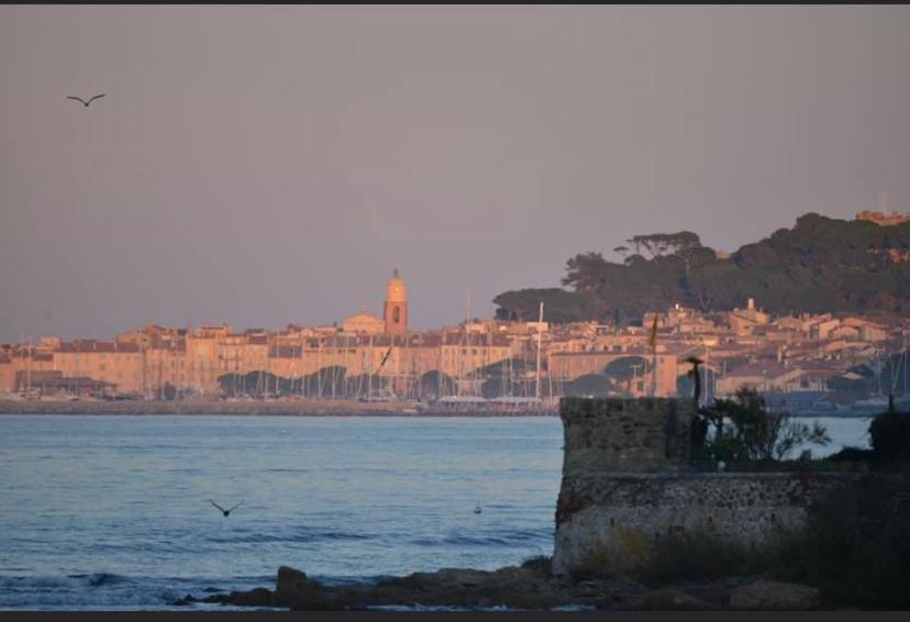 Maison Classee Sur Le Golfe De St Tropez سان تروبيه المظهر الخارجي الصورة
